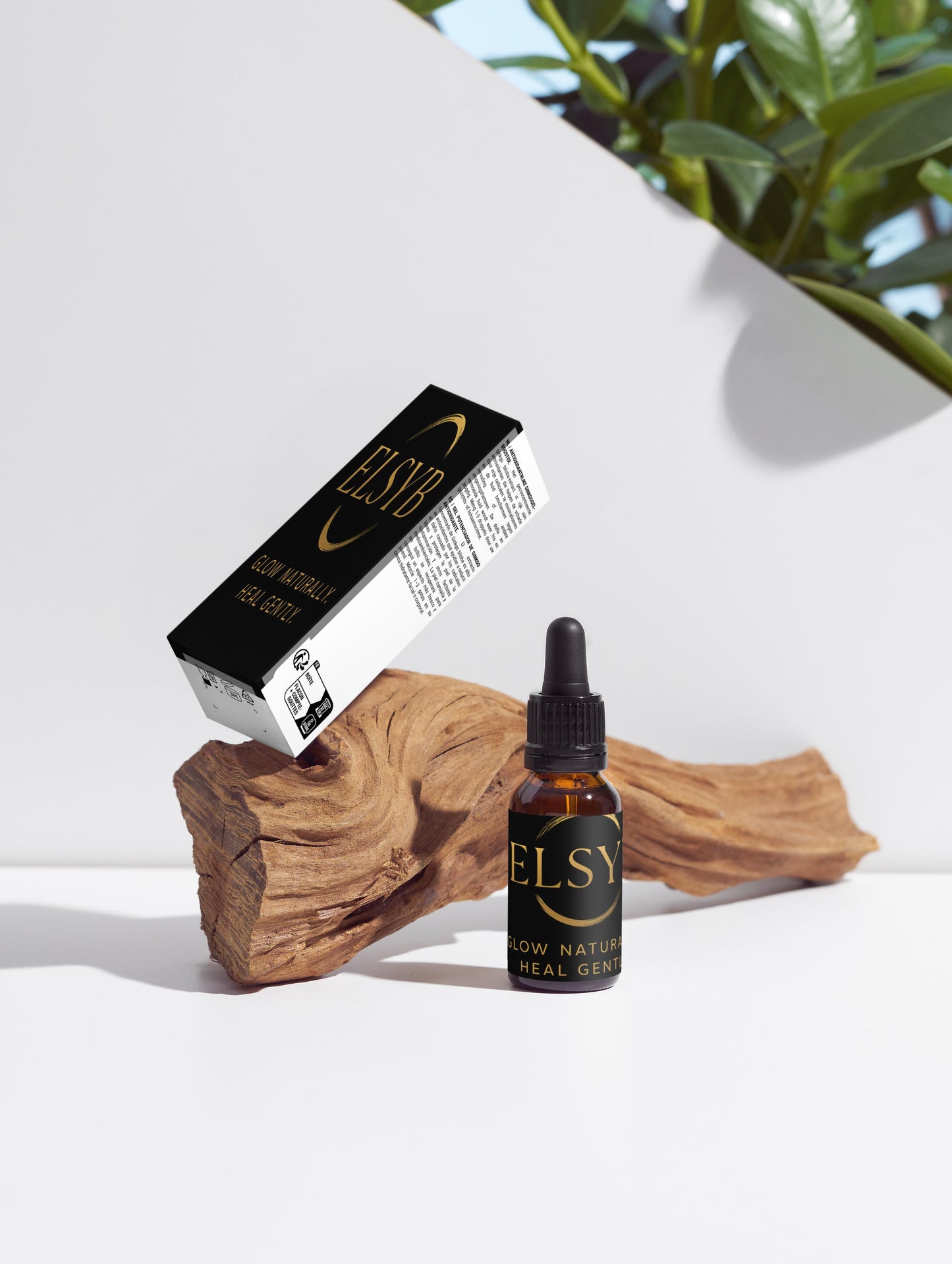 ElSyb Antioxidant Ginkgo Gel Booster